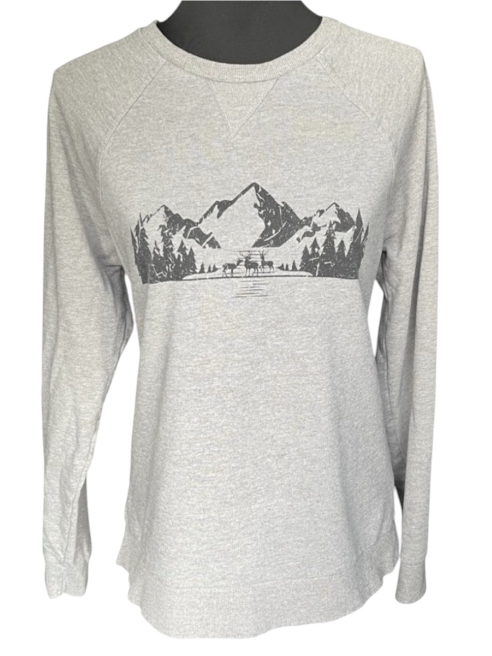 Industry Grey Mountain Scape Crew Neck Lightweight Sweatshirt (M)